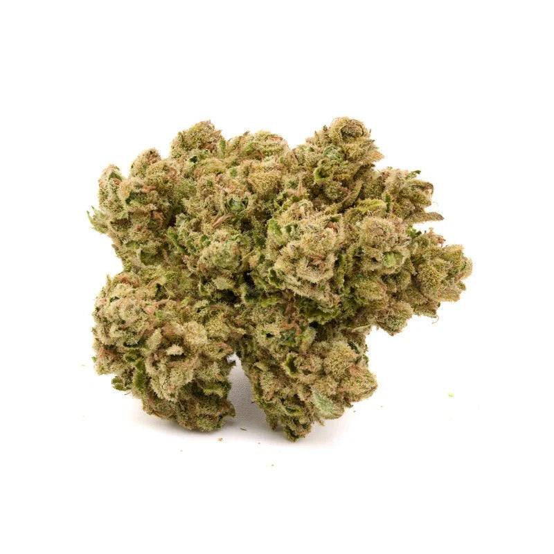 St. Croix Cannabis THCa Flower – Premium Small-Batch Indoor Buds